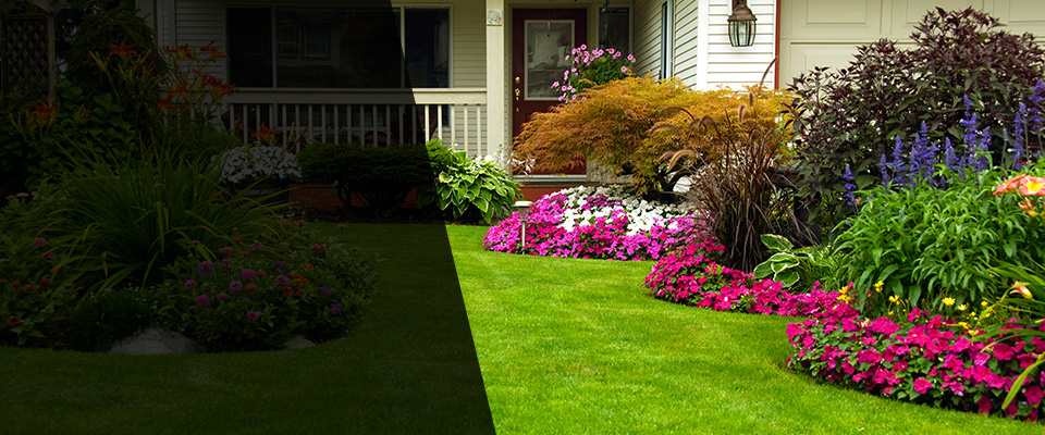 Payson Landscapers