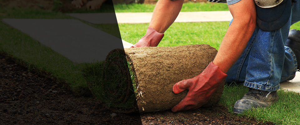 Payson Landscapers